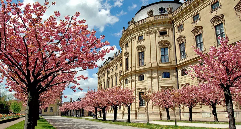 Würzburg Üniversitesi